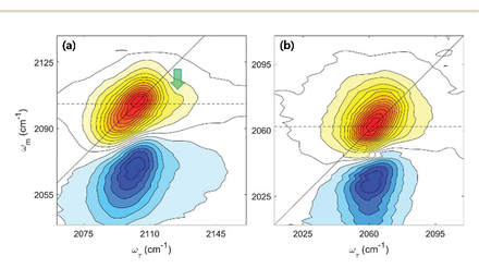 Two two-dimensional infrared spectra side by side, showing positive and negative lobes as contour plots. The left panel carries an arrow marking a weak shoulder feature that is absent from the right-hand isotopologue.