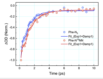 Vibrational population decay of the labelled and unlabelled azide probes plotted against waiting time to 10 picoseconds, with exponential fits. The two isotopologues relax on closely similar timescales.