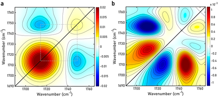 Two two-dimensional correlation spectra side by side, panels a and b, both plotted over the same wavenumber range of roughly 1690 to 1770 reciprocal centimetres on each axis. Contours run from deep blue through white to deep red, with a black diagonal drawn across each panel. Panel a is dominated by a single strong red lobe below the diagonal near 1715 reciprocal centimetres with weaker blue lobes above and to its right; panel b shows a four-lobed pattern of alternating red and blue features arranged symmetrically about the diagonal, at roughly a twentieth of the intensity scale of panel a.