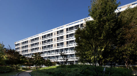 A long white laboratory building at the RIKEN campus in Wako, seen across a lawn under a deep blue sky, with a large tree in the foreground.