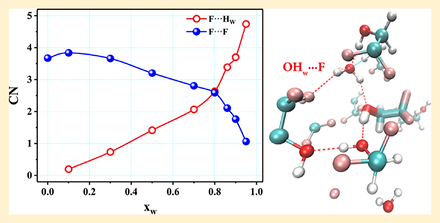 Coordination numbers for fluorine–water-hydrogen and fluorine–fluorine contacts plotted against water mole fraction, with the two curves crossing near a mole fraction of 0.8, beside a molecular cluster showing an OH···F contact.