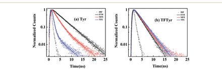 Grid of optimised solvation geometries for modified tyrosine in ethanol and trifluoroethanol, each annotated with its calculated emission wavelength between roughly 286 and 313 nanometres.